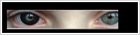 ColourVUE Big Eyes / Dolly black -