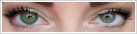 Acuvue 2 Colours - krycí / Zelená -