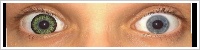 ColourVUE Big Eyes / Party green -