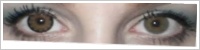 ColourVUE Big Eyes / Sexy brown -