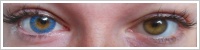FreshLook ColorBlends / Briliant blue -
