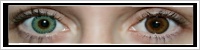 ColourVUE Fusion / Green/yellow -