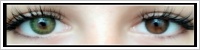 FreshLook ColorBlends / Gemstone green -