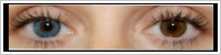 FreshLook ColorBlends / Briliant blue -