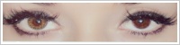 FreshLook ColorBlends / Pure hazel -