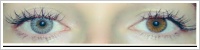 FreshLook ColorBlends / Sterling grey -