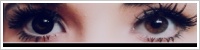 ColourVUE Big Eyes / Dolly black -