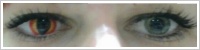 ColourVUE Crazy Lens / Dragon eyes -