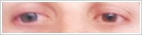 SofLens Natural Colors / Platinum -