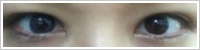 FreshLook ColorBlends / Blue -