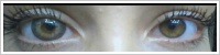 Magic Eye (2 čočky) - nedioptrické / Gray -