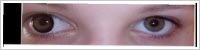 ColourVUE Big Eyes / Sexy brown -