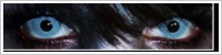ColourVUE Crazy Lens / Zombie gray -