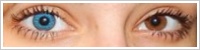 FreshLook Colors / Blue -