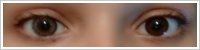 FreshLook ColorBlends / Sterling grey -