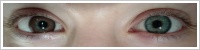 FreshLook ColorBlends / Chestnut brown -