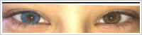 FreshLook ColorBlends / Briliant blue -