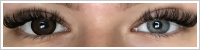 ColourVUE Big Eyes / Pretty hazel -