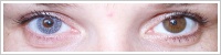 Acuvue 2 Colours - krycí / Šedá -