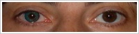 FreshLook ColorBlends / Turquoise -