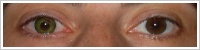 FreshLook ColorBlends / Gemstone green -