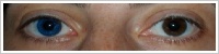 Acuvue 2 Colours - krycí / Safírová -