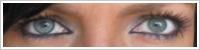 SofLens Natural Colors / Platinum -