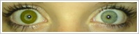 Acuvue 2 Colours - krycí / Zelená -