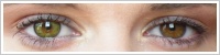 FreshLook ColorBlends / Gemstone green -