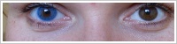 FreshLook Colors / Sapphire blue -
