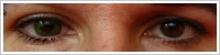 FreshLook ColorBlends / Gemstone green -