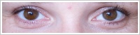 Acuvue 2 Colours - krycí / Kaštanová -