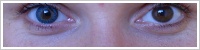 FreshLook ColorBlends / Turquoise -