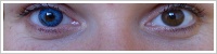 FreshLook ColorBlends / Briliant blue -