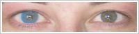 FreshLook Colors / Sapphire blue -