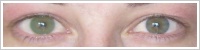 FreshLook Colors / Green -