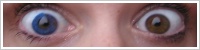 Acuvue 2 Colours - krycí / Safírová -