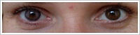 FreshLook ColorBlends / Amethyst -
