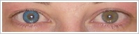FreshLook ColorBlends / Briliant blue -