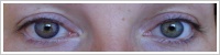 FreshLook ColorBlends / Amethyst -