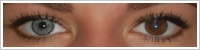 SofLens Natural Colors / Platinum -