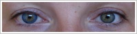 FreshLook ColorBlends / Blue -