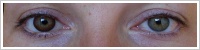 FreshLook ColorBlends / Chestnut brown -