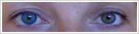 FreshLook ColorBlends / Briliant blue -