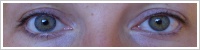 FreshLook ColorBlends / Gray -