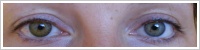 FreshLook ColorBlends / Pure hazel -