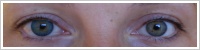 FreshLook ColorBlends / Turquoise -