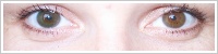 Acuvue 2 Colours - tónovací / Zelená -