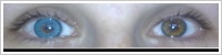 SofLens Natural Colors / Pacific -