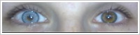 SofLens Natural Colors / Platinum -